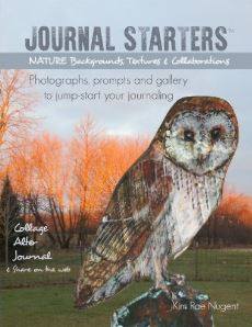 13512108_1054138518000997_6463246559374025745_n